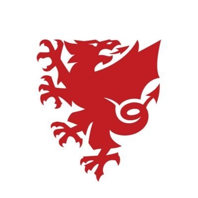 威尔士足协官方：男足和女足在未来国际比赛中将获得同工同酬